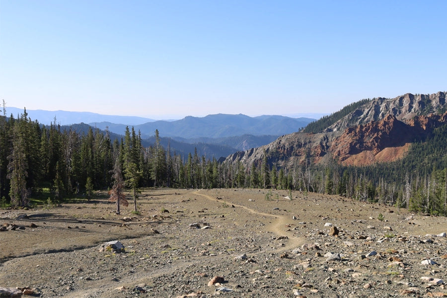 Landscape image of a dry, rocky trail leading into a tree line, with mountains in the background.