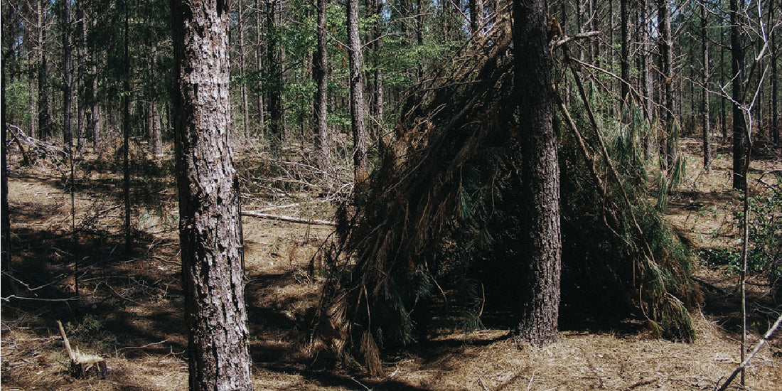 No-Tent, No-Tarp Survival Shelter: The Debris Hut